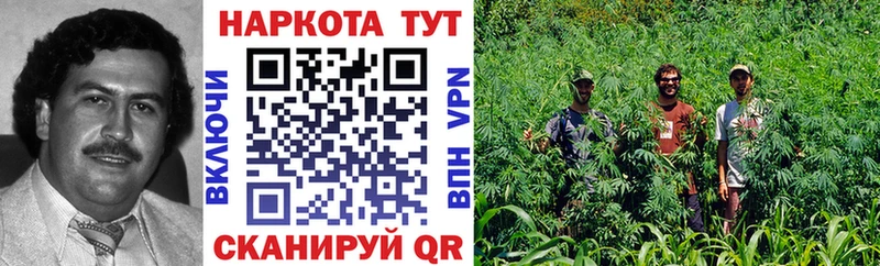 Купить Суровикино Cocaine  Бошки Шишки  мега ССЫЛКА  Гашиш  Меф мяу мяу 