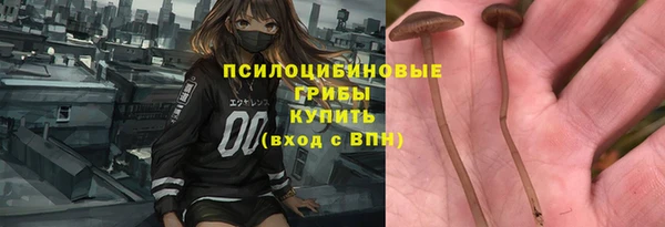 первитин Кодинск