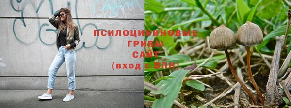 крисы Киреевск